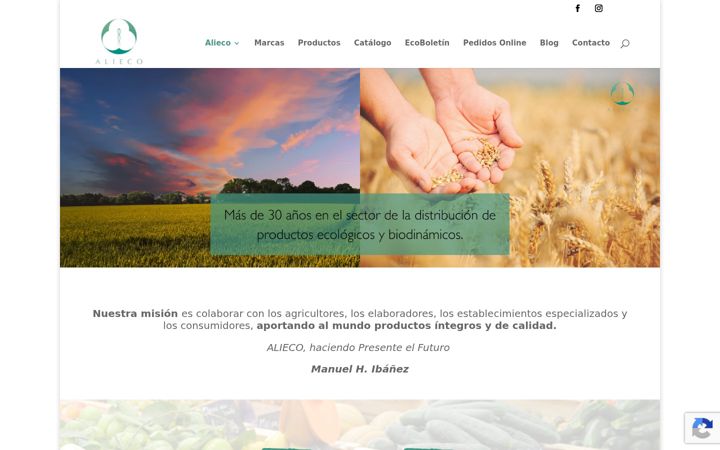 Screenshot of alieco.com