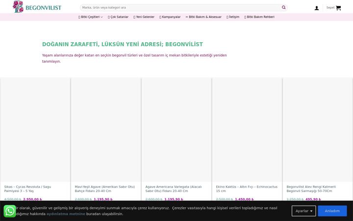 Captură de ecran a aligetir.com.tr