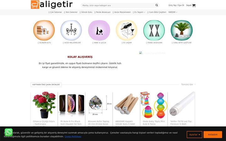 Screenshot of aligetir.com