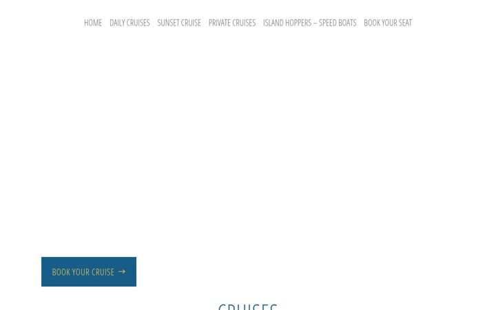 Screenshot of alikoseatours.com