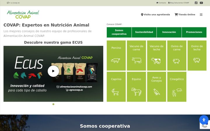 Ekrānuzņēmums no alimentacionanimalcovap.com
