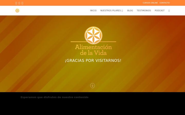 Screenshot of alimentaciondelavida.com