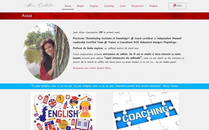 Screenshot of alina-constantin.com