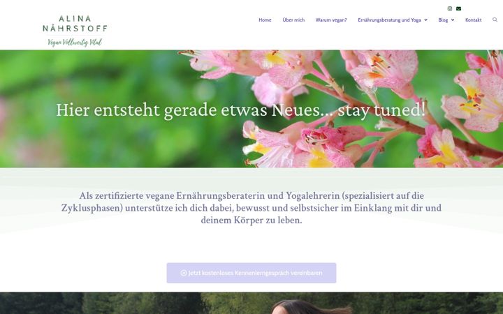 Screenshot of alina-naehrstoff.de