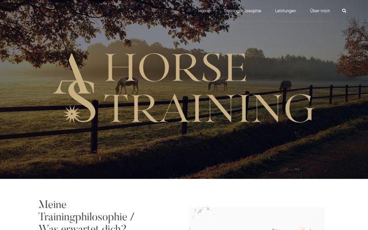 Screenshot of alina-schumacher.com
