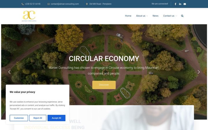 Screenshot of alinae-consulting.com