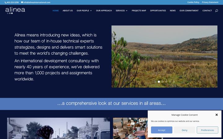 Screenshot of alineainternational.com