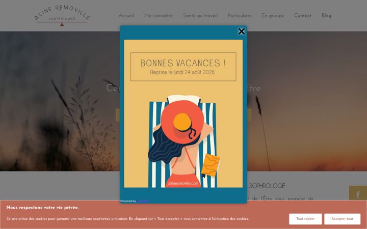 Screenshot of alineremoville.com