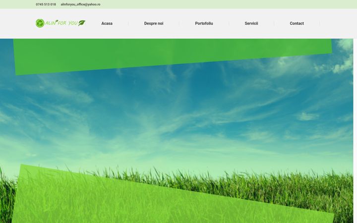 Screenshot of alinforyou.ro