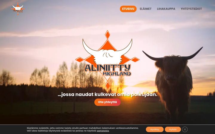 Screenshot of aliniitty.com