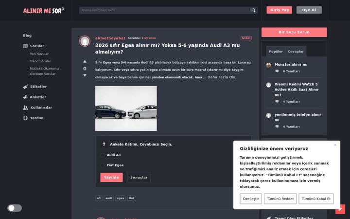 Screenshot of alinirmisor.com