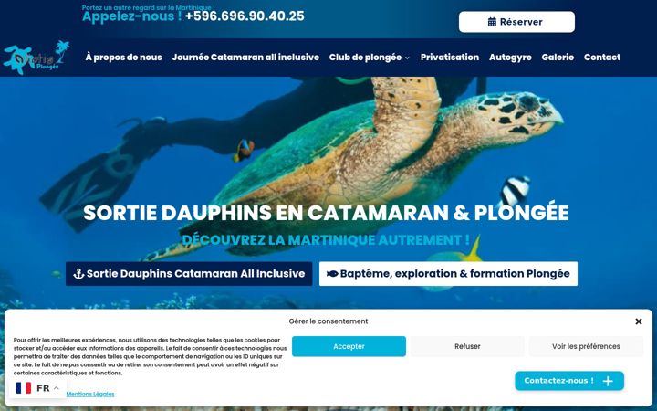 Screenshot of aliotis-martinique.com