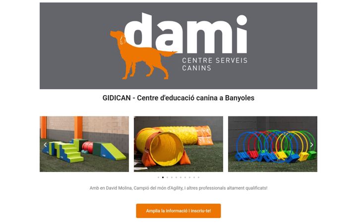 Screenshot of alisagr.com