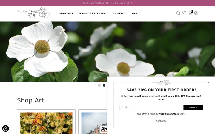 Skärmbild av alivacraftart.com