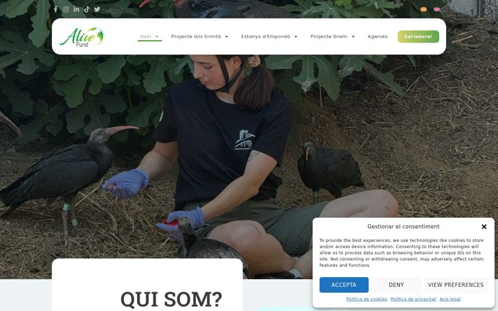 Screenshot of alivefund.org
