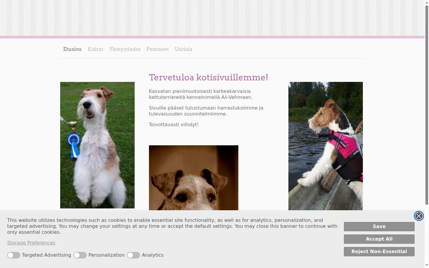 Snímek obrazovky baneru souhlasu zobrazeného před jakoukoli interakcí