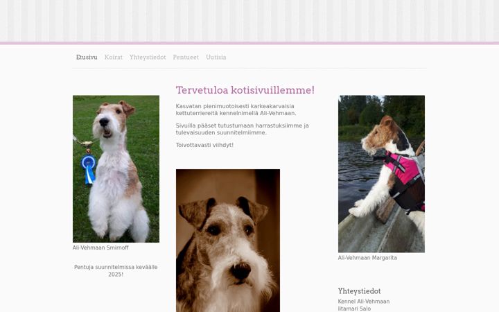 Screenshot of alivehmaan.com