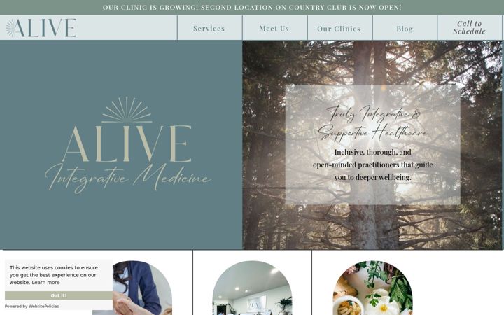 Screenshot of aliveintegrative.com