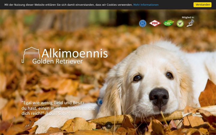 Screenshot of alkimoennis.de