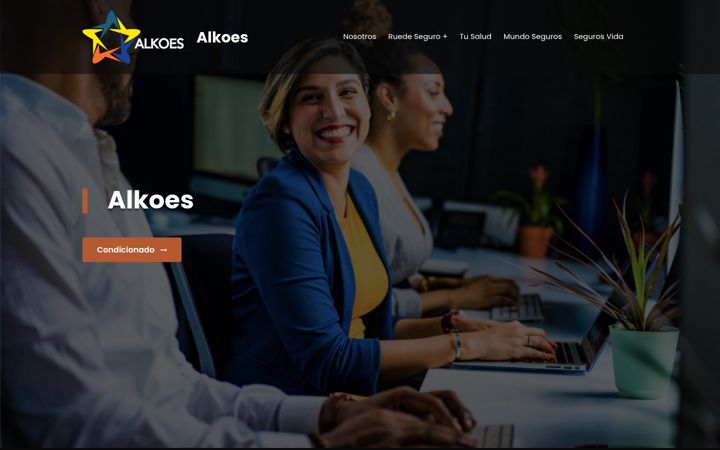 Screenshot of alkoes.com