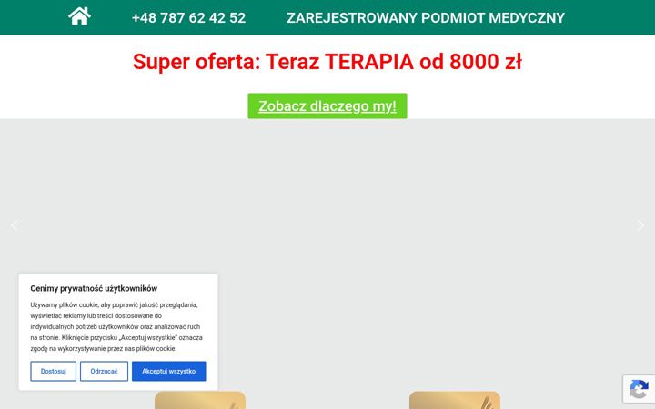 Screenshot of alkoterapia-krakow.pl
