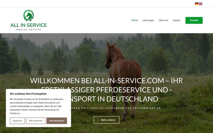 Posnetek zaslona all-in-service.com