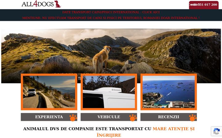 Screenshot of all4dogs.com.ro