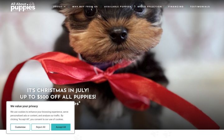 Screenshot of allaboutpuppiesflorida.com