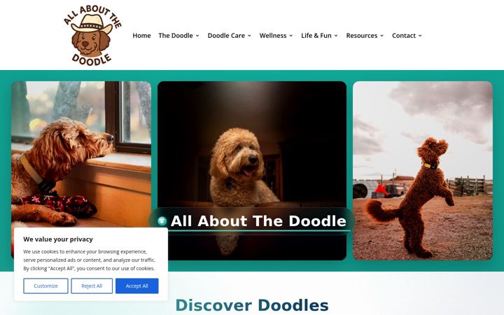 Screenshot of allaboutthedoodle.com
