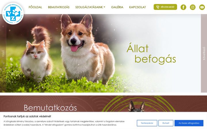 Screenshot of allatbefogas.hu