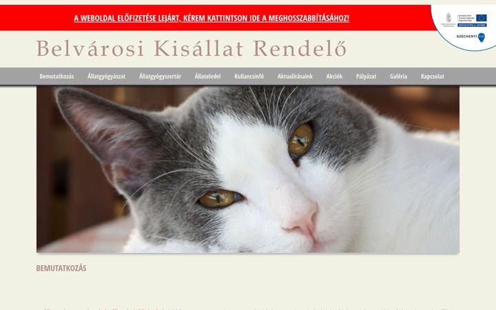 Screenshot di allatgyogyaszatmateszalka.hu