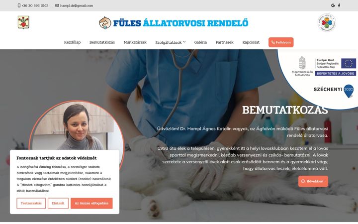 Screenshot of allatorvosagfalvasopron.hu