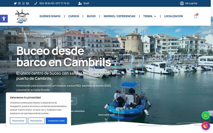 Screenshot of allbluediving.com