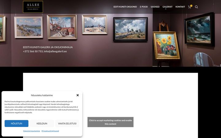 Screenshot of alleegalerii.ee
