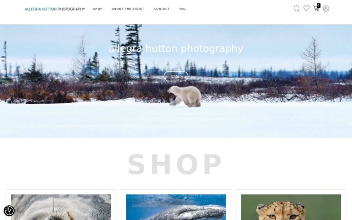 Screenshot of allegrahutton.shop