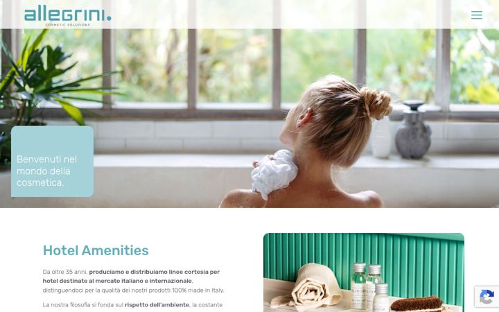 Screenshot of allegriniamenities.com