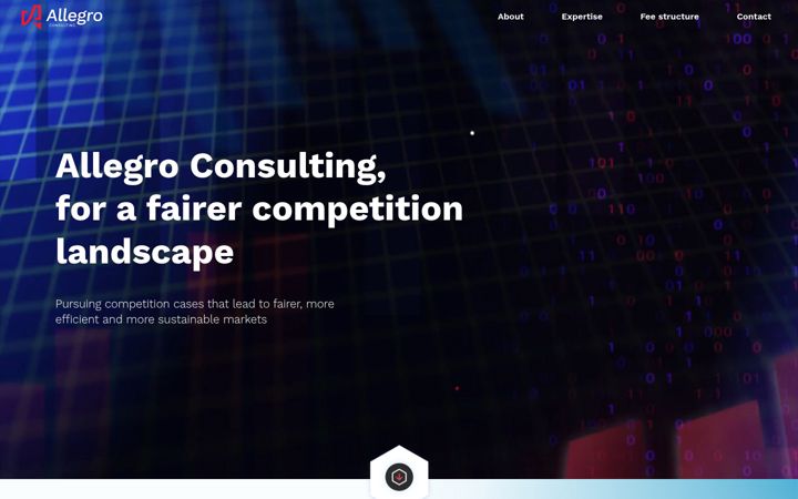 Screenshot of allegro-consulting.com