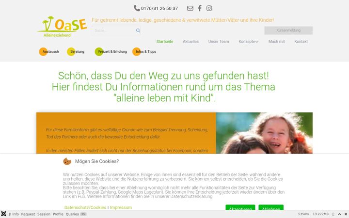 Screenshot von alleinerziehendeundkinder.de