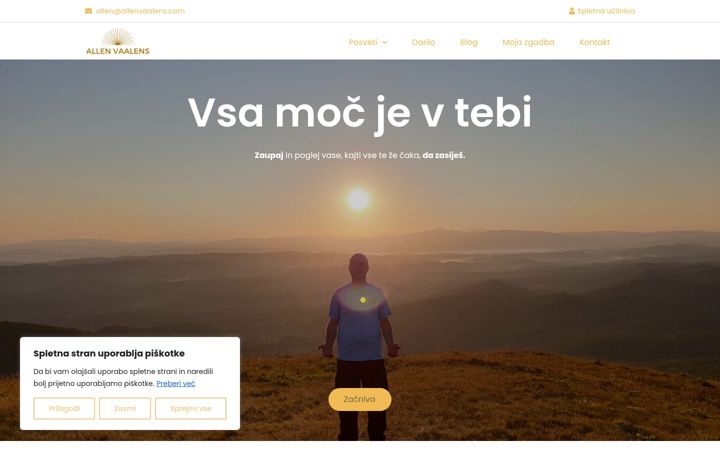 Screenshot of allenvaalens.com