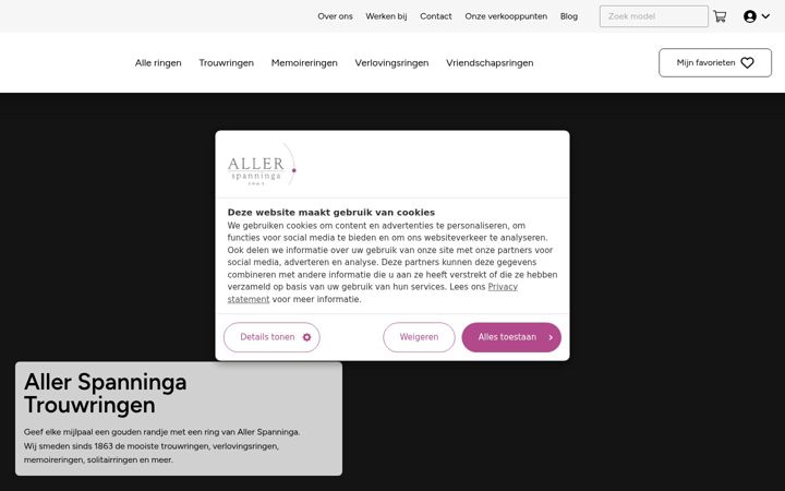 Screenshot of allerspanninga.com