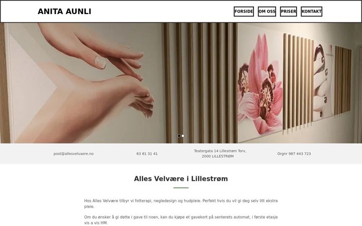 Screenshot of allesvelvaere.no