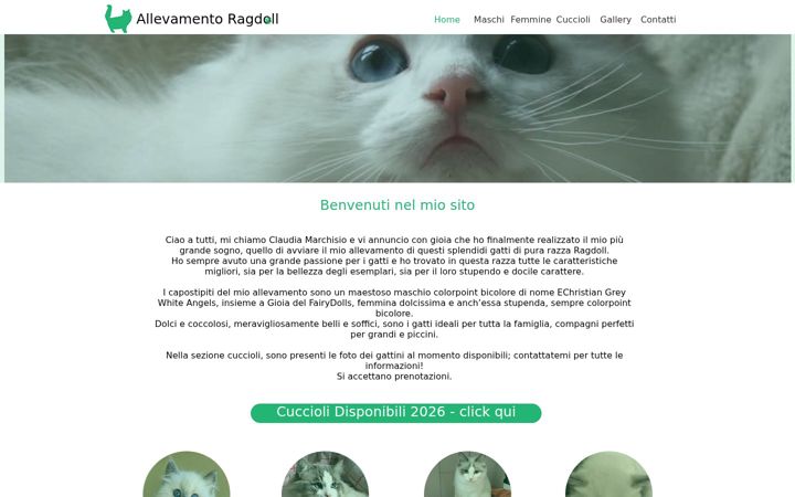 Screenshot of allevamento-gatti-ragdoll.com