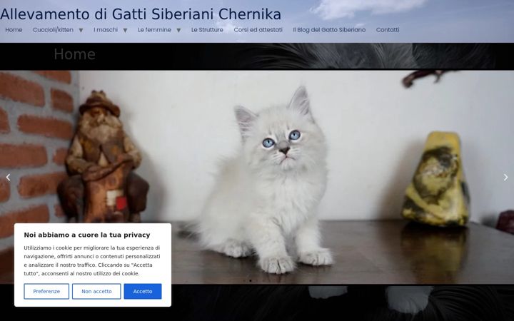 Screenshot of allevamento-gattisiberiani.it