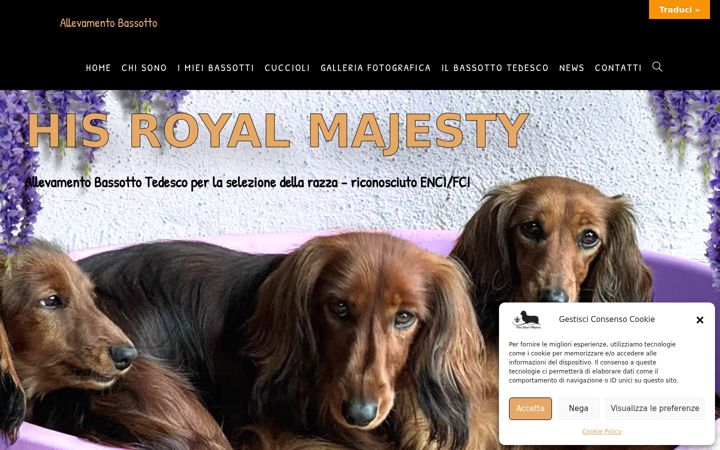Screenshot of allevamentobassotto.it