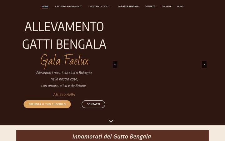 Screenshot of allevamentobengalabologna.it