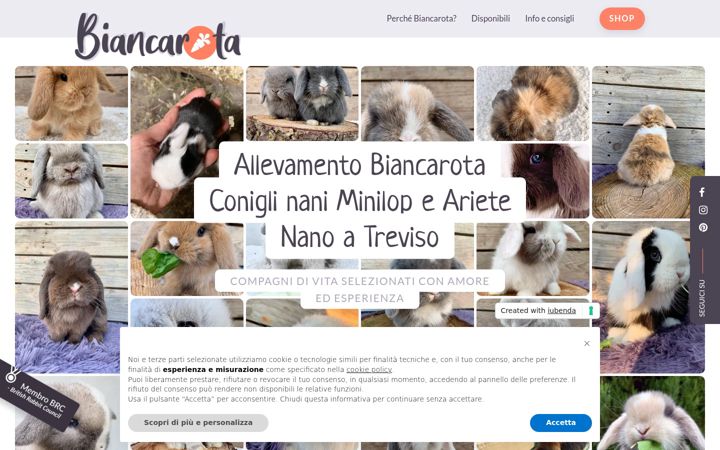 Screenshot of allevamentobiancarota.it