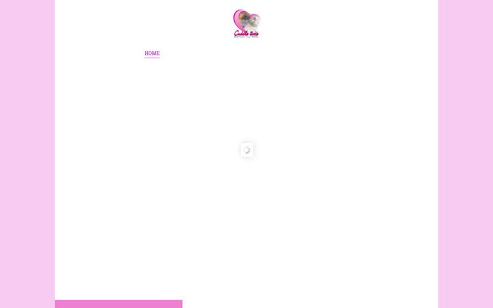 Screenshot of allevamentobritishcatcuddletime.it