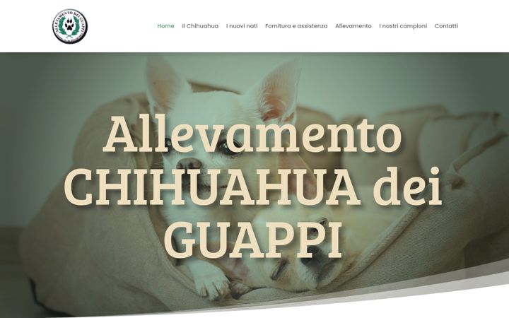 Екранна снимка на allevamentochihuahua.it