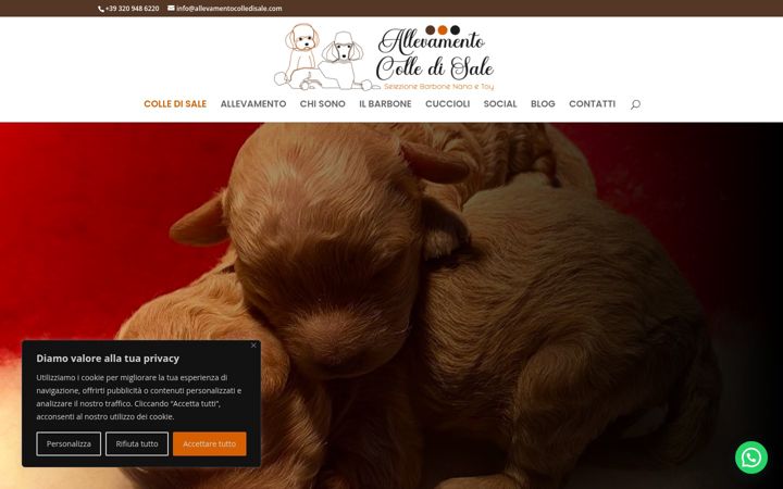 Екранна снимка на allevamentocolledisale.com