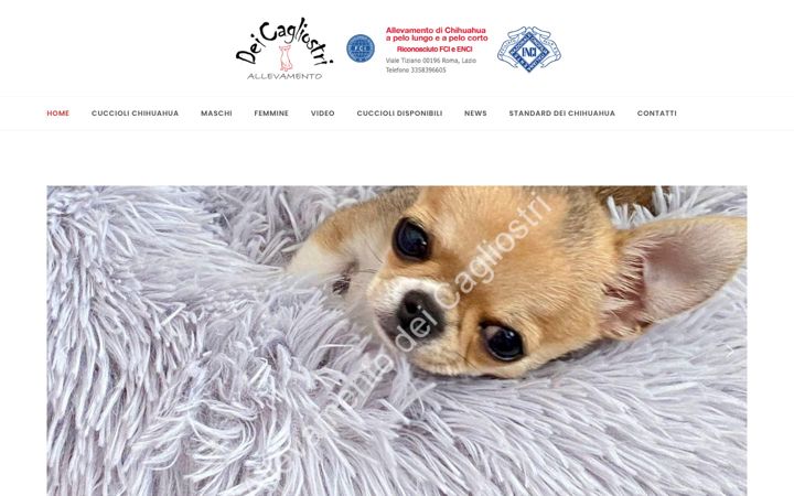 Екранна снимка на allevamentodeicagliostri.com